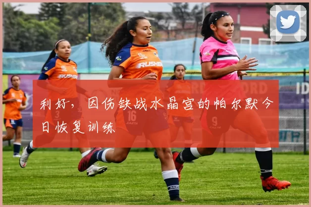 利好，因伤缺战水晶宫的帕尔默今日恢复训练