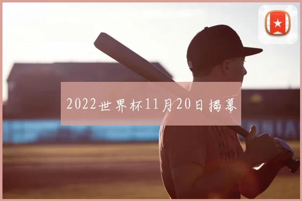 2022世界杯11月20日揭幕