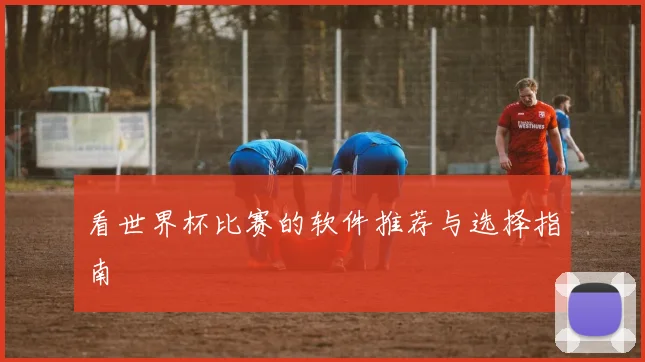 看世界杯比赛的软件推荐与选择指南