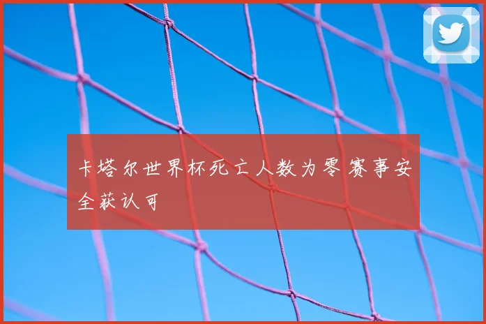 卡塔尔世界杯死亡人数为零 赛事安全获认可