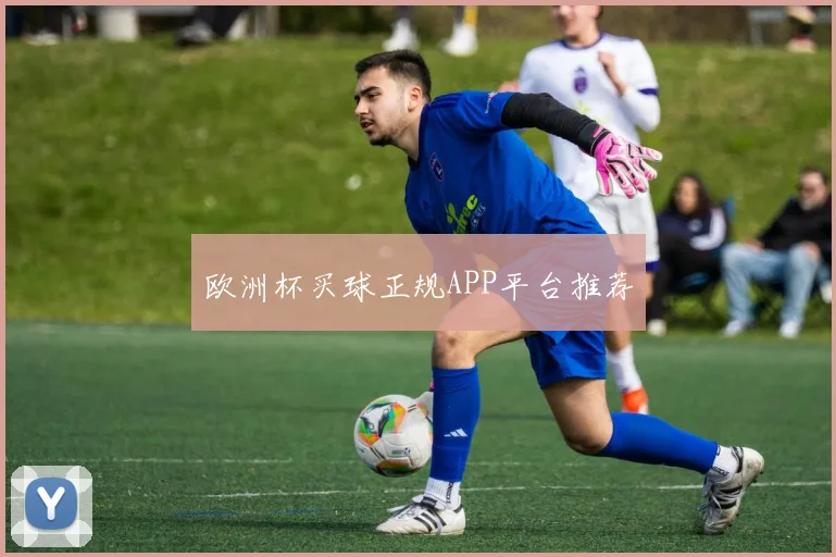 欧洲杯买球正规APP平台推荐