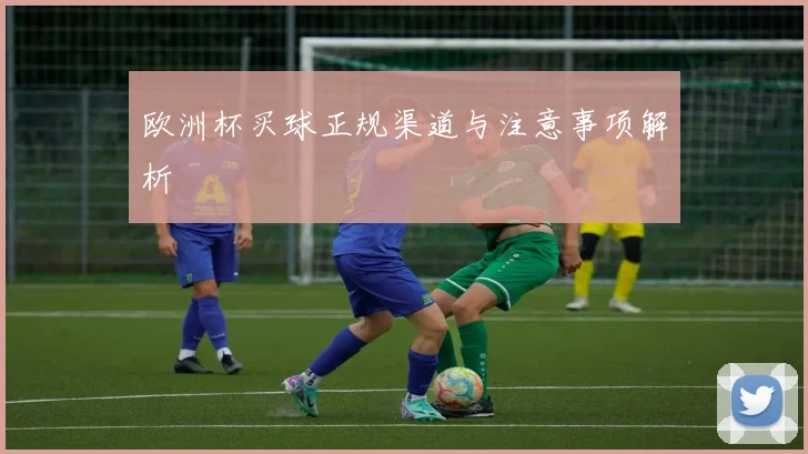 欧洲杯买球正规渠道与注意事项解析