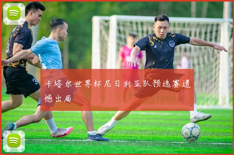卡塔尔世界杯尼日利亚队预选赛遗憾出局