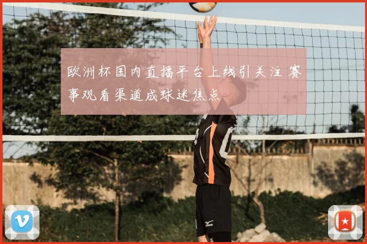欧洲杯国内直播平台上线引关注 赛事观看渠道成球迷焦点