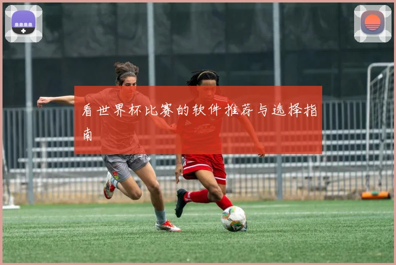看世界杯比赛的软件推荐与选择指南